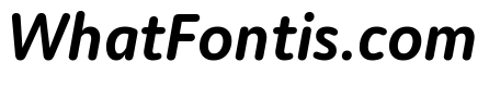 Moniker Medium Italic