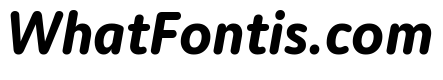 Moniker Bold Italic
