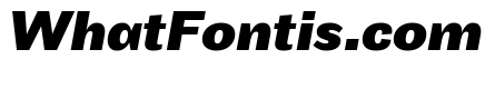 Maple Bold Italic