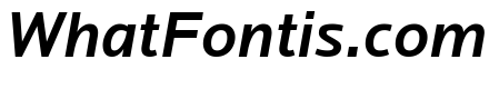 Locator Medium Italic