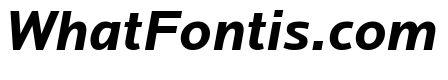 Locator Bold Italic