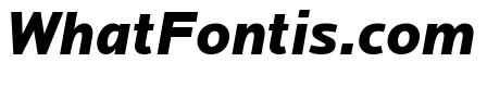 Locator Black Italic