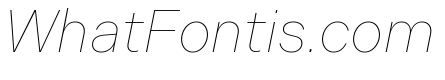 Indivisible Thin Italic