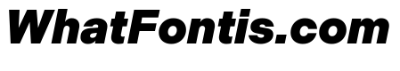 Indivisible Black Italic