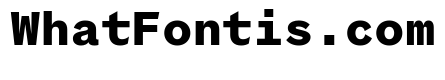 Coordinates Bold