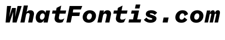 Coordinates Bold Italic