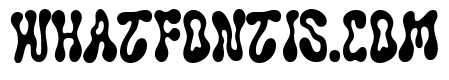 Solvent Bold