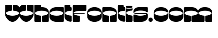 Lunatique Rounded Ultra Expanded