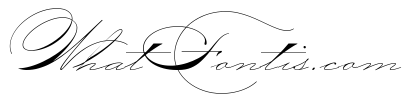 Zaner Two
