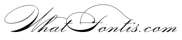 Zaner Four