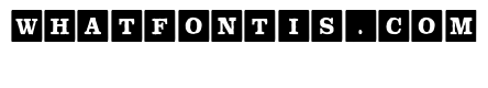 ToyBox Blocks Solid Bold