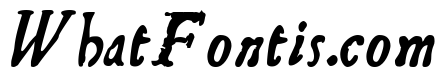 Telegdi Bold Italic