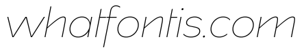 Spectators Headline Thin Italic