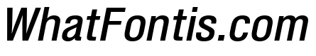 Shapiro Class 53 Middle Italic
