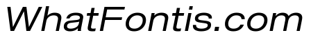 Shapiro Wide Regular Italic