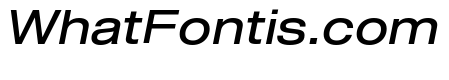 Shapiro Wide Book Italic