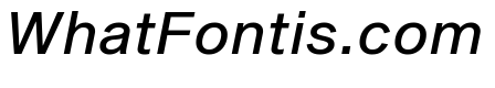 Shapiro Book Italic