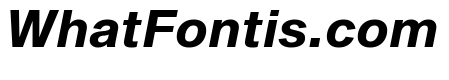 Shapiro Bold Italic