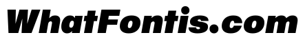 Sequel Geo Max Italic