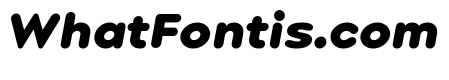 Point Soft Black Italic