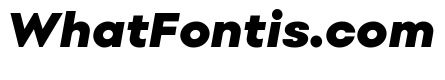 Point Black Italic