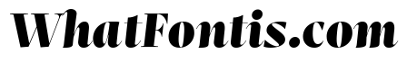 Mastro Display Black Italic