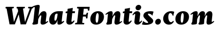 Mastro Caption Black Italic
