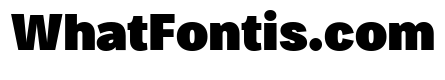 Bruta Condensed Black