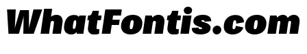 Bruta Condensed Black Italic