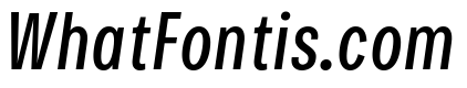 Bruta Compressed Regular Italic