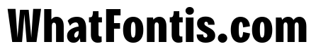 Bruta Compressed Bold