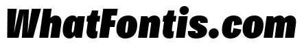 Bruta Compressed Black Italic