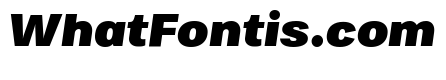 Bruta Black Italic