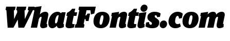 Viroqua Black Italic