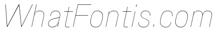 Synergy Hairline Italic