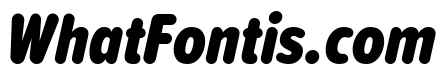 Proxima Soft Extra Condensed Black Italic