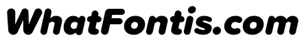 Proxima Soft Black Italic