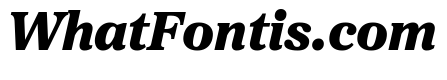 Proxima Sera Black Italic