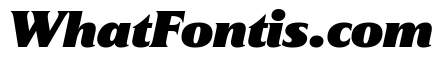 Hardcover Black Italic