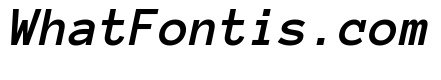 Anonymous Pro Bold Italic