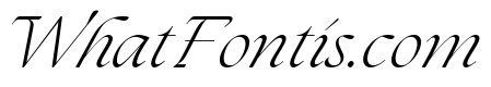 The Seasons Light Italic