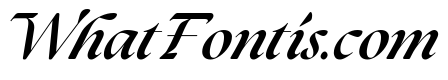 The Seasons Extra Bold Italic