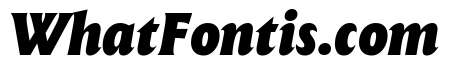 The Henston Black Italic