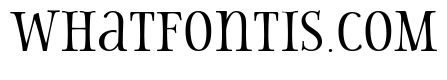 Storyteller Serif Contrast