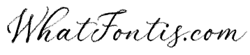 Palomino Script Rough