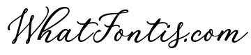 Palomino Script Clean