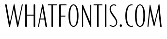 Palomino Sans One Clean