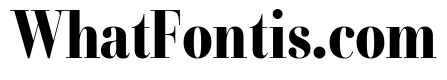 Combinado Serif Bold