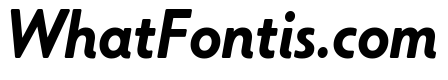 Citron Grotesque Bold Italic