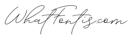 Absolute Beauty Script Regular